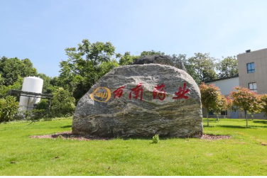 西南药业股份有限公司